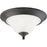 Trinity Collection Two-Light 15" Close-to-Ceiling