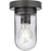 Signal Collection One-Light Flush Mount