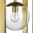 Atwell Collection Brushed Nickel Two-Light Pendant